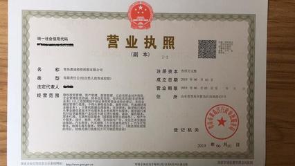 投資控股注冊條件,個(gè)人開投資公司條件(投資的經(jīng)營范圍都有哪些)